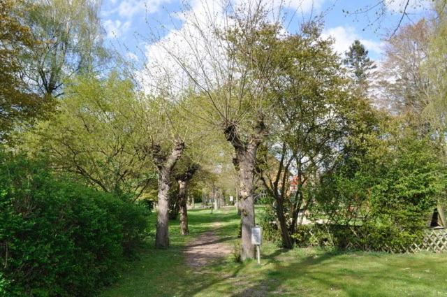 Ferienwohnung Suedpark Шневердинген Екстериор снимка